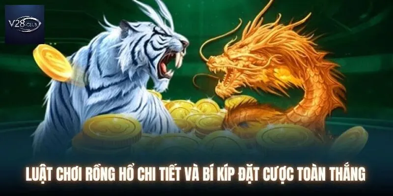 Luật đặt cược đỉnh cao của Dragon Tiger
